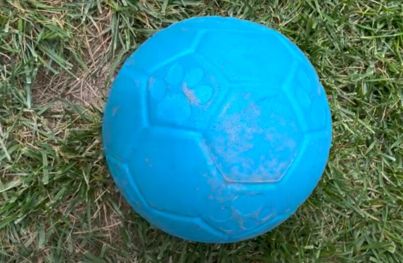 Dog-Friendly Soccer Ball
