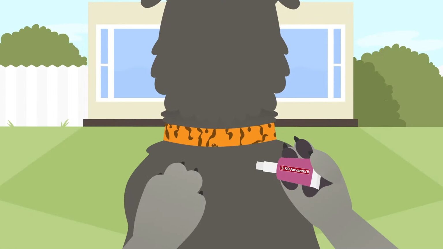 When Is It Safe to Touch My Dog After Applying K9 Advantix II? Pet Care